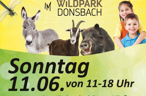 Ein Plakat zum Familientag im Wildpark Donsbach am Sonntag, 11.06.23 von 11 - 18 Uhr
