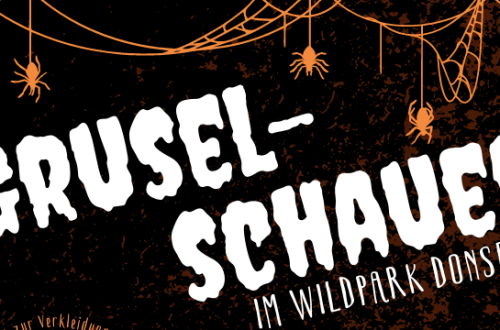 Gruselschauer im Wildpark Donsbach