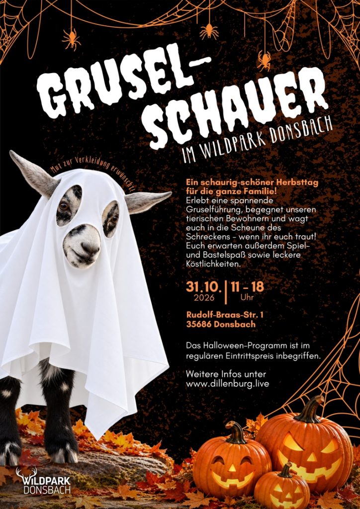 Plakat für die Halloween Veranstaltung im Wildpark Donsbach.
